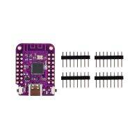 ESP32 S2มินิบอร์ด Type-C USB ตาม ESP32-S2FN4R2 ESP32-S2 4MB แฟลช2MB PSRAM Microthon สำหรับ Arduino