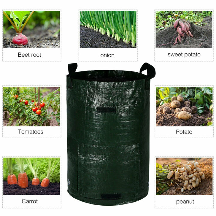 rayua-3-5-7-10แกลลอนปลูกมันฝรั่งถุงกันน้ำ-pe-garden-vegetable-planter