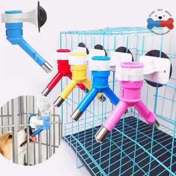 Dog water hotsell feeder lazada