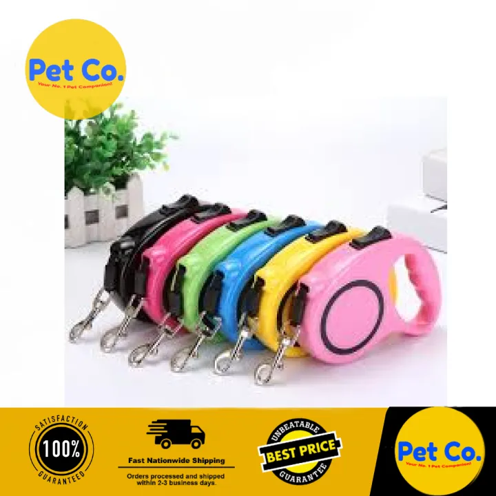 Pet Dog Retractable Leash (5m) for outdoor training and activity Lazada PH