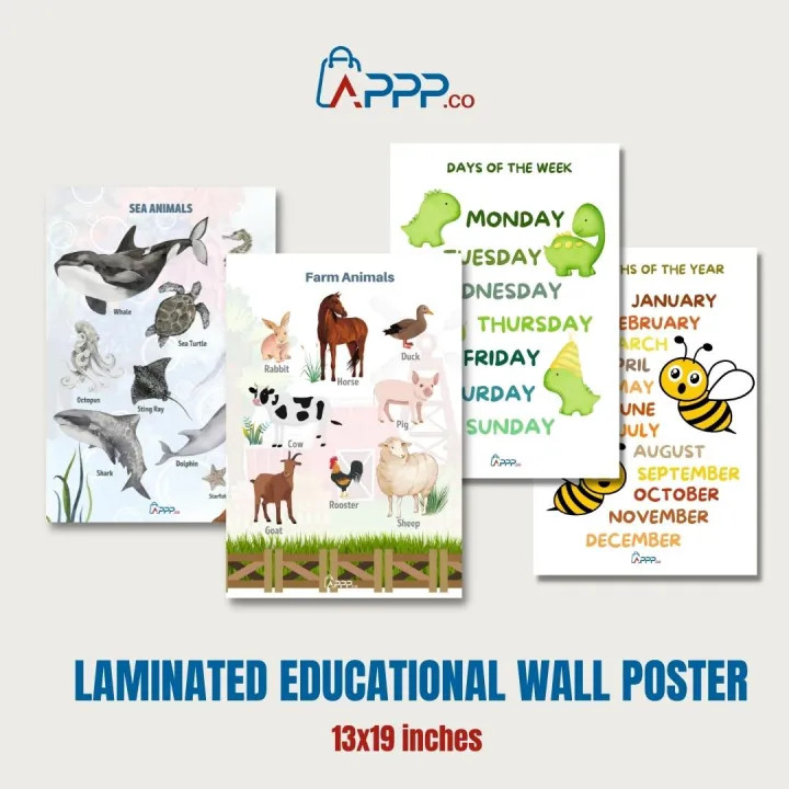 APPP.Co 13"x19" Laminated Educational Wall Posters Lazada PH