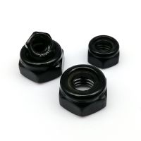 2/10/25ชิ้น Din985 M2 M3 M2.5 M4 M5 M6 M8 M12พื้นผิวสเตนเลสสีดำ Nylock Locknut Hex Nylon Insert น็อตล็อคตัวเองแทรก