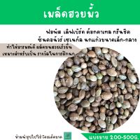 เมล็ดฮวยมั้ว  (แบ่งขาย 200-500 g.) เป่าฝุ่นแล้ว อาหารสำหรับนกแก้วทุกสายพันธุ์