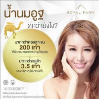 โปรพิเศษ10ฟรี1 สบู่น้ำนมอูฐ เจ้าเก่า คุณภาพใหม่