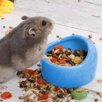 AINACHU Chinchilla Gerbil เซรามิคป้องกันการเคาะผ่านการให้อาหารอาหารสัตว์เลี้ยงขนาดเล็กจานหนูแฮมสเตอร์ชามที่ดื่มน้ำสัตว์เลี้ยง