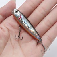 Quality Accessories Carp Isca Lure Wobbler [hot]Micro Pencil Japan Plastic Hooks 65mm Fishing Catfish Pesca Artificial Floating 5.5g