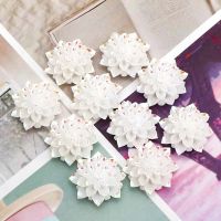 10Pcs Resin Cabochons Accessories Scrapbooking Accessories Embellishments For Weding