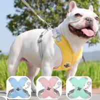 【jw】❁◇ X Shaped Dog Harness With Leash Set Small Meidum Dogs Reflective Breathable Mesh Walking Chest Straps