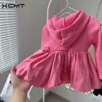 Spot parcel post Girls Autumn New Long-Sleeved Hooded Stitching Dress Baby Fashion All-Match Simple Fried Street Sweet Skirt Fashion