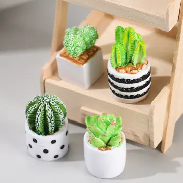 Shop Artificial Cactus And Succulents online