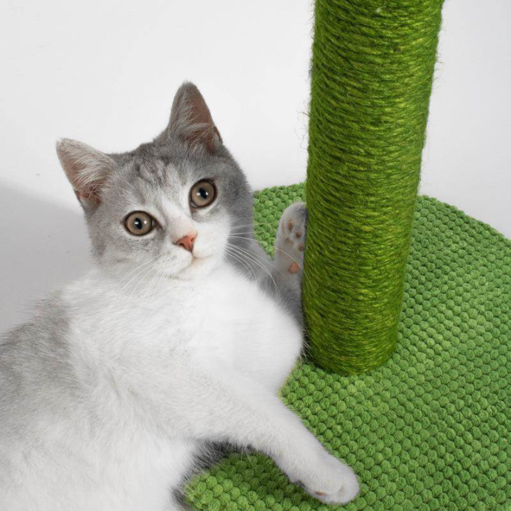 กระบองเพชรลับเล็บแมว-ของเล่นแมว-ที่ลับเล็บแมว-ที่ข่วนเล็บแมวมินิมอล-ของแต่งบ้านมินิมอล-ที่ฝนเล็บแมวcat-tree-ที่ขูดเล็บแมว