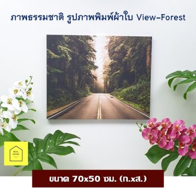 REAL HOME ภาพติดผนัง ภาพถนน ขนาด 70x50 ซม. (ก.xส.) ภาพตกแต่ง รูปภาพพิมพ์ผ้าใบ View-Forest รูปป่าไม้ ภาพติดผนัง ภาพแขวน กรอบรูป แต่งบ้าน กรอบรูปติดผนัง