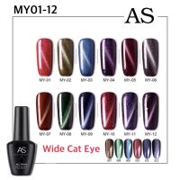 สีเจล As 15ml. ขวดดำ MY 01-12 โทนแม่เหล็ก Wide Cat eyes