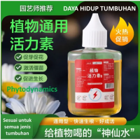 ปุ๋ยอินทรีย์เหลวกระตุ้นการเจริญเติบโตของพืช Auxin Phytodynamics