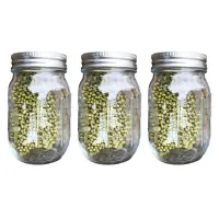 3X Sprouting Jar with Stainless Steel Screen Lid Wide Mouth Quart Mason Sprouter