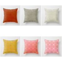 House Decorative Home Pillowcase for sofa Cushion Cover 45x45 Nordic 40x40cm 40x40cm 50x50 Living Room abstract 60x60 Velvet