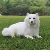 ✖♗ Simulation Plush Dog Realistic Cute Husky Samoyed Plush Dog Fur Lifelike Animal Easter Bunny Simulation Toy Model Birthday Gift