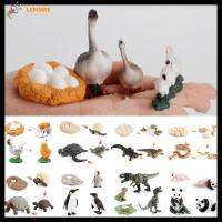 LEMMRE Figurines โมเดลตุ๊กตาหมีแพนด้าจำลอง,อุปกรณ์เสริมชีววิทยาเครื่องประดับวงจรการเจริญเติบโตของเล่นการศึกษาชีวิตสัตว์ชุดโมเดล