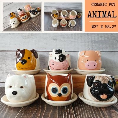 กระถางเซรามิค Animal 3" ....New Arrival....