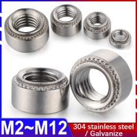 304 Stainless Steel / Galvanized Carbon Steel Riveted Nut Flower Tooth Clamp Nut Panel Beating Punch CLS SP-M3M2.5M4M5M6M8M10M12 Nails Screws Fastener