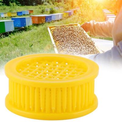 6 Pcs Beekeeping Rearing Box Plastic Queen Bee Cages Of Equipment Beel Beekeeping For Isolation Queen C2S3