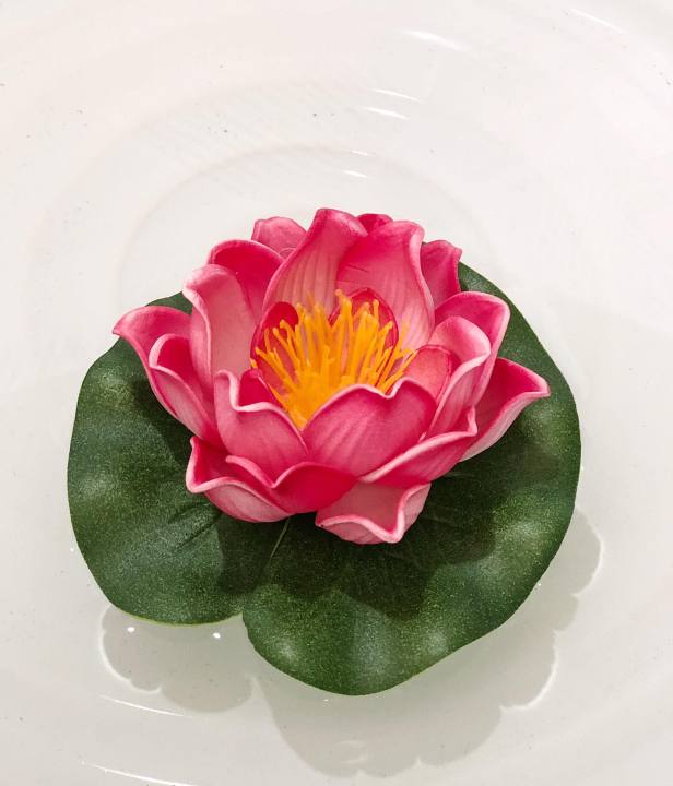 ดอกบัวลอยน้ำ-ขนาด-10-cm-ทั้งหมด10สี-กลีบดอกทำจากยางพารา