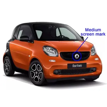 Smart 453 Grille - Best Price in Singapore - Dec 2023 | Lazada.sg