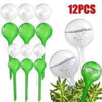 【CC】 12Pcs Watering Bulbs Self-watering Globes Plastic Balls Garden Device