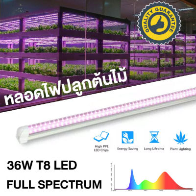 GrowSmart ชุดหลอดไฟ LED T8 grow light 36W full spectrum 90cm 120cm ไฟปลูกต้นไม้ ไฟเพาะต้นอ่อน clone LED light LED Grow Tube for Indoor Plant LED tube ไฟแคคตัส ไฟปลูกพืช