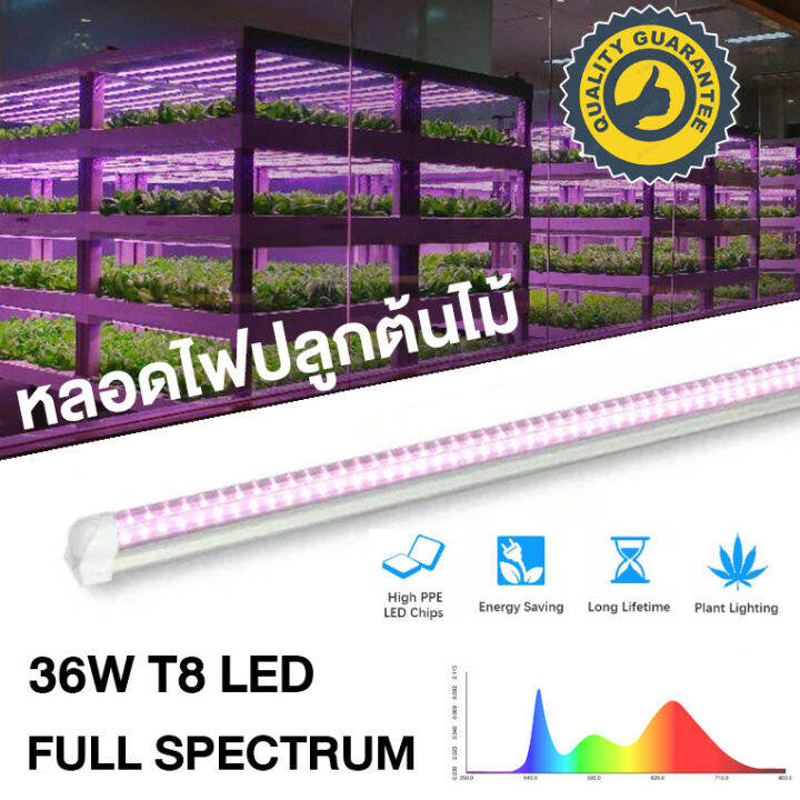 GrowSmart ชุดหลอดไฟ LED T8 grow light 36W full spectrum 90cm 120cm ไฟ ...
