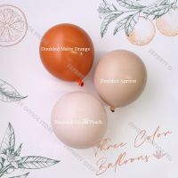 5/10/12inch Terracotta Balloon Doubled Blush Cream Peach Baptism Balloon Baby Shower Boho Birthday Wedding Decorations Balloons Balloons