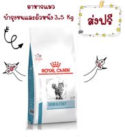 -ส่งฟรี- Royal Canin Skin&amp;Coat 3.5 kg อาหารบำรุงขนและชั้นผิวหนังสำหรับแมวโตขขนาด 3.5 กิโลกรัม