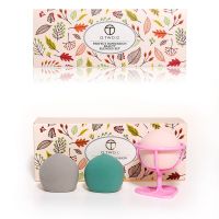 3pcs Makeup Sponge 1 Sponge Holder Powder Puff Hydrophilic Makeup Eggs Packed Makeup Tool Cosmetic Puff High Quality