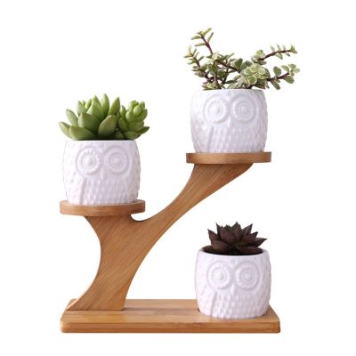 น่ารักนกฮูกหม้ออบแคคตัส Planter ชุดกระถางดอกไม้พร้อมชั้นไม้ไผ่ถาดตกแต่ง