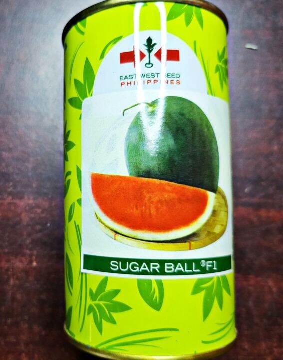 SUGAR BALL F1 HYBRID WATERMELON SEEDS (100 GRAMS) EAST WEST SEED