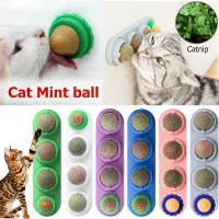 Natural Safety Pet Catnip Toys For Cat Mint Ball Healthy Matatabi Cleaning Teeth Stick Molar Cat Nip Lollipop Catmint Supplies Toys