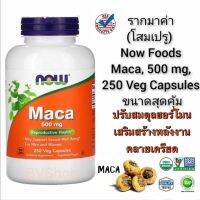 มาค่า (โสมเปรู) ออร์แกนิค Now Foods, Maca, 500 mg, 250 Veg Capsules (Size L) ปรับสมดุลฮอร์โมน เสริมสร้างพลังงาน คลายเครียด **ขนาดสุดคุ้ม**แท้100%