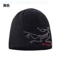 Arcteryx Foreign Trade Knitted Cap Qiu Dong Mens And Womens Outdoor Sports Winter Wind Earmuffs Baotou Wool Hat Bird Ski Cap