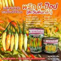 เมล็ดพันธุ์พริกกะเหรี่ยงคัดพิเศษ อีป็อป ขนาด 20-50 กรัม