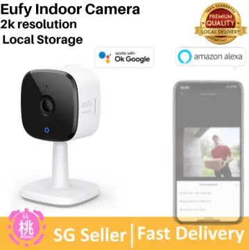 Buy eufy Security 2K Indoor Cam, Plug-in Security Indoor Camera with Wi-Fi,  IP Camera,Human and Pet AI, Works with Voice Assistants, Night Vision,  Two-Way Audio, HomeBase Not Required Online at Low Prices