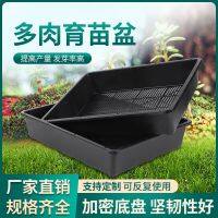 [COD] 7.5cm high succulent seedling box S5 vegetable tray leaf insert plastic flower planting storage