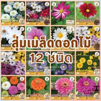 สุ่มเมล็ดดอกไม้ 12 ชนิด แยกซองให้ ได้ไม่ซ้ำกัน เมล็ดใหม่ ปลูกง่าย อัตรางอก 90%