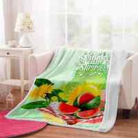 Picnic sweet fruity watermelon 3D warm Plush Fleece Blanket picnic sofa