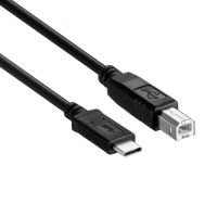 USB-C USB 3.1 Type C Male to USB2.0 USB B Male Data Cable for Laptop Printer Hard Disk