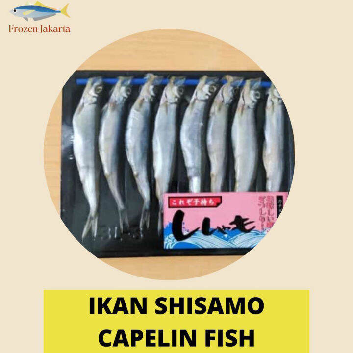 Ikan Shisamo Fish Capelin Super Cipung Favorite 150gr | Lazada Indonesia