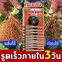 น้ำยาเร่งราก ซื้อ1แถม10 ยาเร่งราก อุดมไปด้วยไนโตรเจน ฟอสฟอรัส และโพแทสเซียม และธาตุอื่น ๆ ผงเร่งราก เพื่อส่งเสริมการรูตของพืชอย่างรวดเร็ว ผงเร่งรากพืช สารเร่งราก