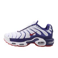 Air Max Plus Tn kasut sport High quality outdoor mountaineering white blue red hook running shoes 39-46