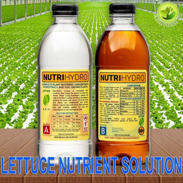 NutriHydro Lettuce Nutrient Solution For Hydroponics Aquaponics Potted ...