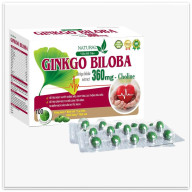 Hoạt Huyết Dưỡng Não Ginkgo Biloba giúp tăng lưu thông máu não giảm nguy thumbnail