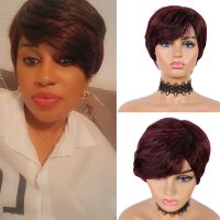 SSH Short Human Hair Wigs Pixie Cut Straight Remy Brazilian Hair for Black Women Machine Made Highlight Color Cheap Glueless Wig